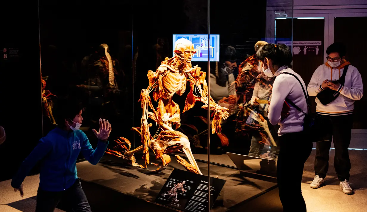 Pengunjung melihat salah satu karya seni yang dipajang dalam pameran anatomi tubuh manusia bertajuk 'Body Worlds' di Moskow, Rusia (24/3/2021). Otoritas Rusia tengah melakukan penyelidikan terkait pameran tersebut. (AFP/Dimitar Dilkoff)