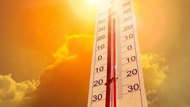 Osmosis Adalah Proses Perpindahan Zat Molekul pada Air, Ketahui Contohnya