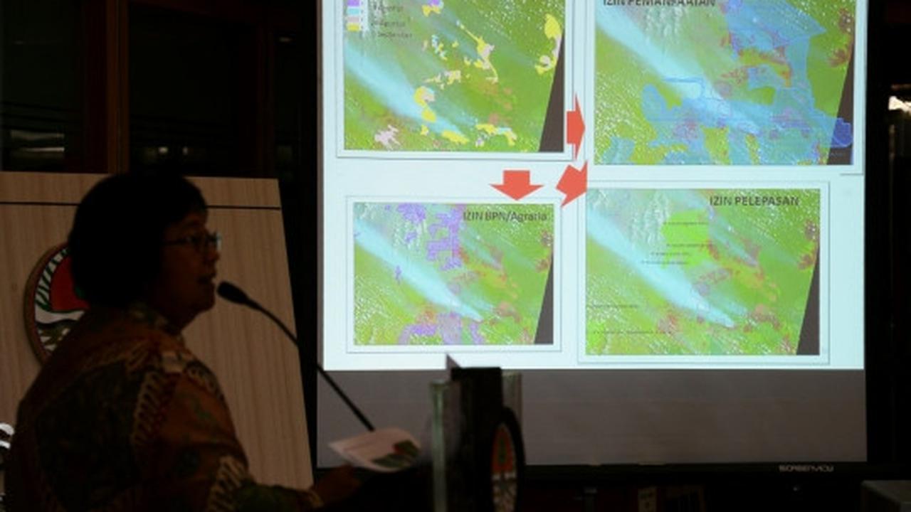 Menteri LHK umumkan perusahaan pembakar lahan dan hutan