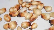 Biasanya, kita hanya memakan buah nangka. Untuk yang matang bisa langsung dimakan, dan yang masih mentah biasanya dibuat sayur nangka