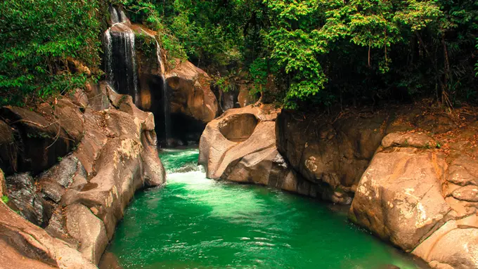 7 Tempat Terbaik untuk Merasakan Kehidupan Alam Liar di Indonesia