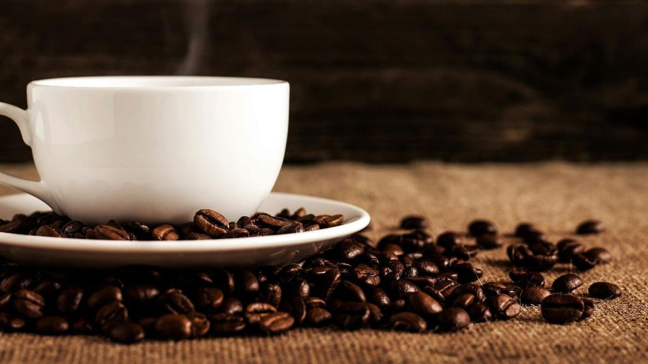1. Arabica