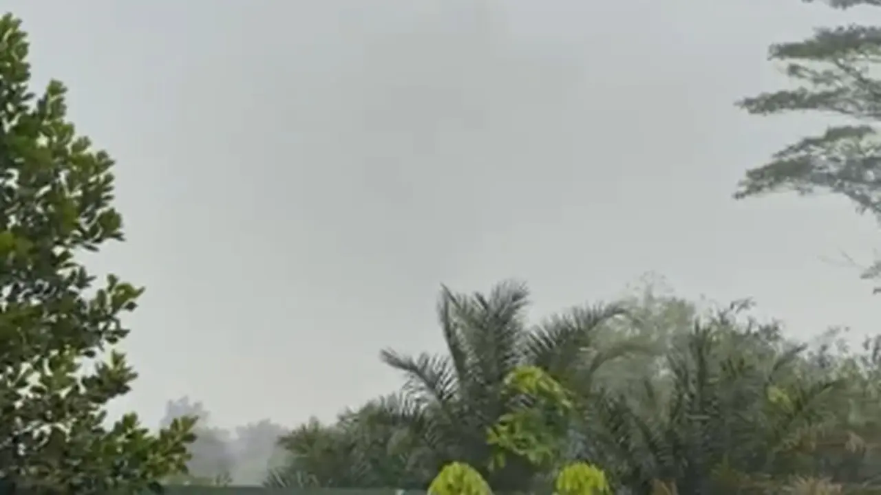 Kebakaran Hutan dan Lahan di Desa Limbung, Kecamatan Sungai Raya, Kabupaten Kubu Raya, Kalimantan Barat. (merdeka.com/Lizsa Egeham).