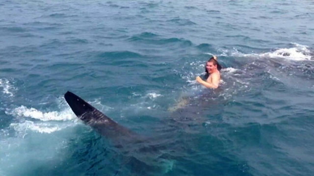 Anak Remaja yang Menaiki Hiu Paus