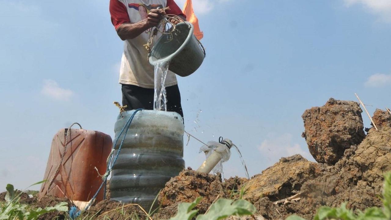 Musim kemarau yang menyengat mulai dirasa para petani di wilayah Bekasi. Mulai langkanya sumber air membuat para petani di Muara Bakti, Kecamatan Babelan harus membuat sumur dengan menggali tanah sedalam dua meter. Foto: merdeka.com / imam buhori