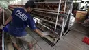 Perternak memberi makan ayam di perternakan kawasan Telaga Kahuripan, Bogor, Jawa Barat, Rabu (3/11/2021). Stok telur di kandang masih berlimpah, sementara biaya produksi berupa pakan ternak masih juga tinggi. (merdeka.com/Arie Basuki)