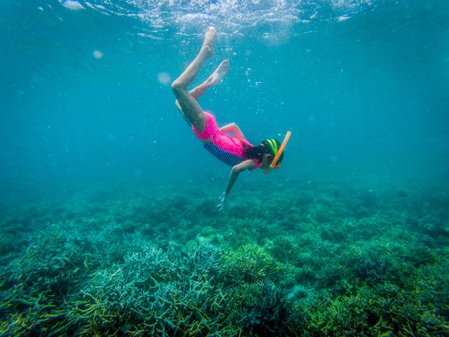 Belajar Konservasi Terumbu Karang di Labuan Bajo