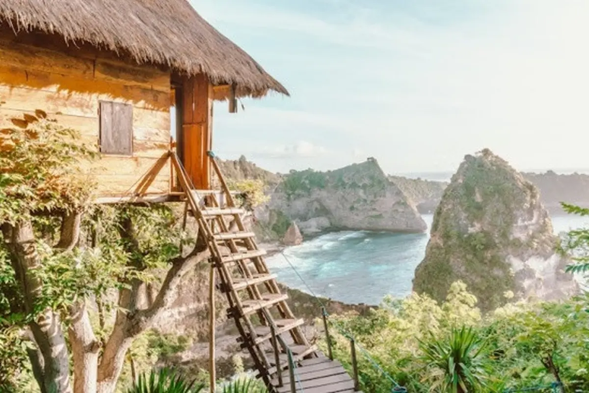 Ilustrasi Model Rumah Pohon dari Bambu (Photo by  Johnny Africa on Unsplash)