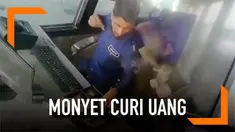 Seekor monyet terekam kamera mencuri uang dari petugas pintu tol di India. Monyet mengambil uang sebanyak Rs. 5000 atau sekitar Rp 1 juta.