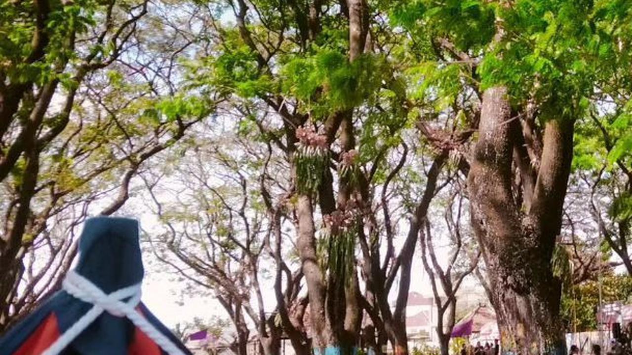 Taman Ngrowo Bening Madiun, Spot Wisata Gratis Cocok untuk Olahraga hingga Petik Buah