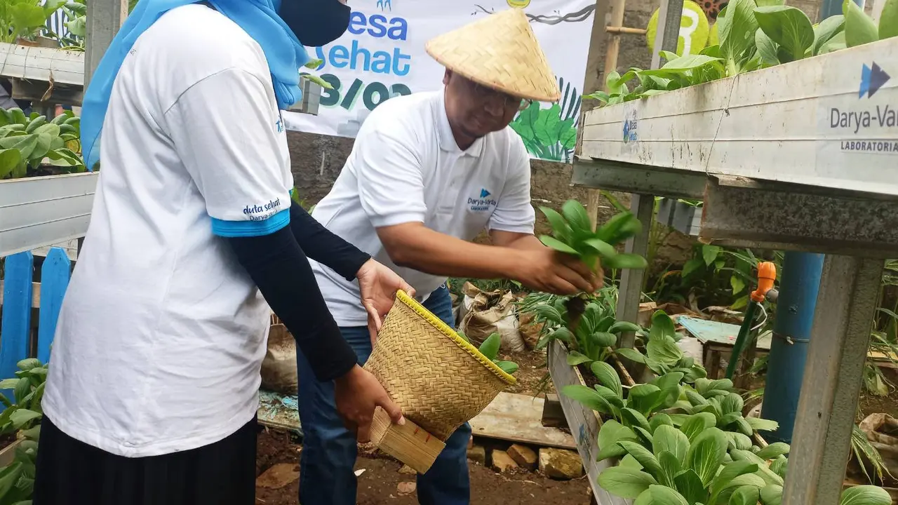 Taman Vertikal di Desa Sehat Cicadas Bantu Tekan Anggaran Belanja Rumah Tangga