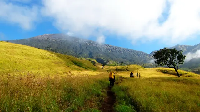 [Bintang] 8 Gunung di Indonesia Ini Punya Padang Savana yang Memesona