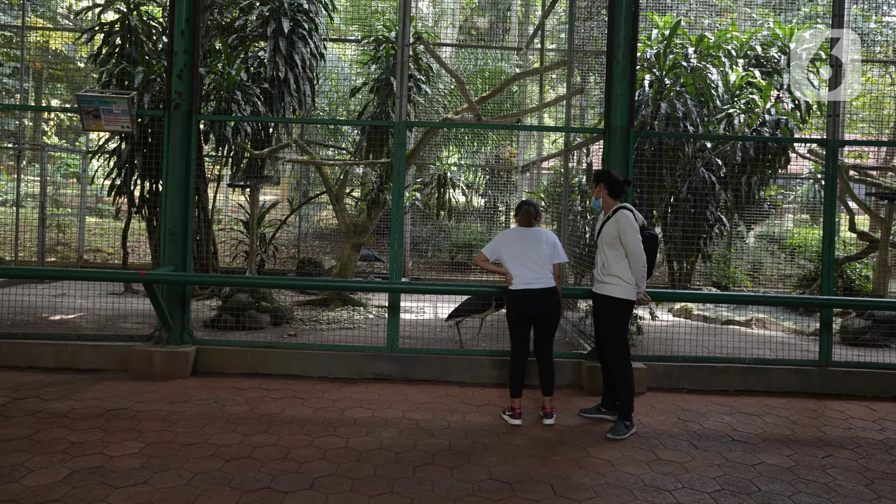 FOTO: Hore, Taman Marga Satwa Ragunan Kembali Dibuka