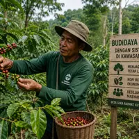 Petani di Kaltim Kembangkan Kopi Berkelanjutan di Kawasan Hutan Lindung