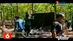 Arena judi sabung ayam yang berada di tengah hutan Kecamatan Bangorejo, Banyuwangi, digerebek oleh Tim Resmob gabungan Polsek Bangorejo dan Polresta Banyuwangi, pada Selasa siang (02/2). Petugas sempat melepaskan tembakan ke udara.