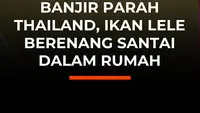 Banjir Parah Thailand, Ikan Lele Berenang Santai Dalam Rumah