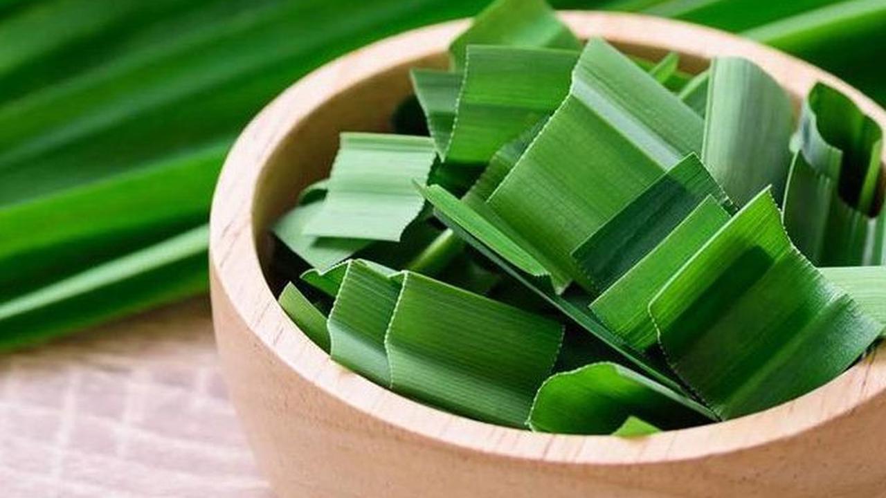 Manfaat Mengonsumsi Daun Pandan<br>