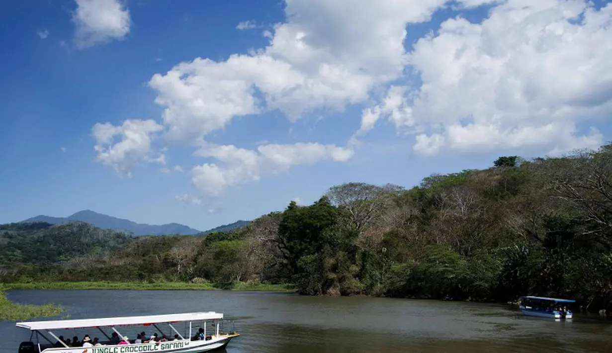 Para wisatawan menggunakan sebuah perahu menyusuri Sungai Tarcoles, Rio Grande, Kosta Rika, Jumat (13/3/2015). Buaya menjadi daya tarik objek wisata Sungai Tarcoles. (AFP Photo/Ezequiel Becerra) 
