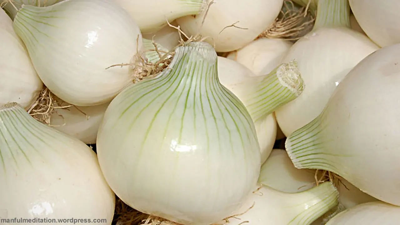 bawang-putih130315b.jpg