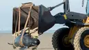 Petugas menggunakan alat berat untuk mengevakuasi paus pilot di Pantai Calais, Prancis, Senin (2/11). Enam dari 10 paus ditemukan sudah mati terdampar di pantai, sedangkan empat paus berhasil diselamatkan dan dikembalikan ke laut. (AFP/ Denis Charlet)