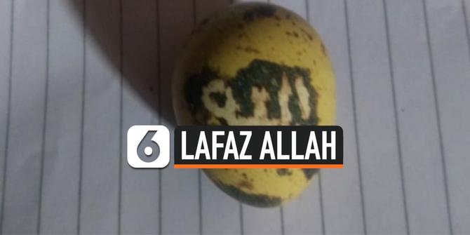 VIDEO: Telur Puyuh Berlafaz Allah Hebohkan Warga Kalsel