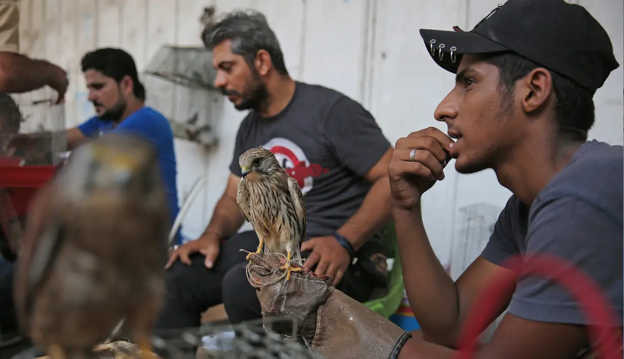 Seorang pria Irak memegang elang di pasar hewan peliharaan al-Ghazal di ibukota Irak, Baghdad (11/10/2019). Pasar hewan peliharaan al-Ghazal ini hanya buka pada hari Jumat. (AFP Photo/Ahmad Al-Rubaye)