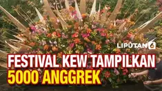 Festival Anggrek Kew di London, Inggris bakal mulai digelar dari 5 Februari hingga 6 Maret 2022. Tahun ini tema yang diangkat adalah kekayaan alam Kosta Rika, diperkirakan bakal ada 5000 anggrek yang bakal dipamerkan.