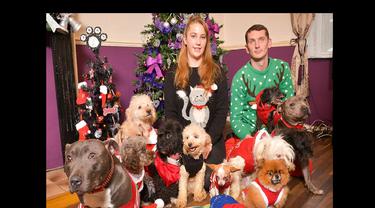 6 Pose Menggemaskan Anak Anjing Berkostum Tema Natal Page 2 Global Liputan6 Com Kumpulan naskah drama natal sekolah minggu terbaru, pemuda dan mentor kreatif menciptakan drama natal yang pesannya sanggup diterima oleh kongregasi.