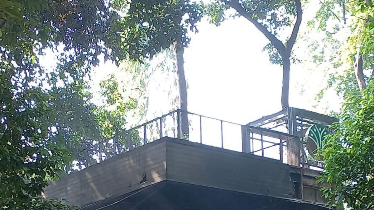Secercah Asa dari Kafe di Tengah Arboretum Kemenhut yang Hangus Dibakar dan Dijarah Massa