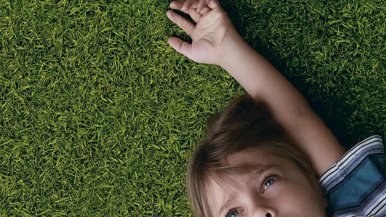 Boyhood