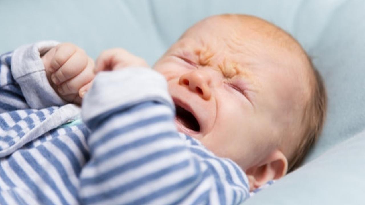 Ilustrasi Baby Blues
