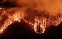 FOTO: Potret Kebakaran Hutan Korea Selatan Semakin Ganas, 18 Orang Tewas