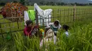 Wanita suku Karbi beristirahat dari memanen padi di ladang di pinggiran Gauhati, India, Senin (23/5/2022). Suku Karbi adalah salah satu komunitas etnis utama di India Timur Laut yang sebagian besar terkonsentrasi di distrik perbukitan Karbi Anglong di Assam. (AP Photo/Anupam Nath)