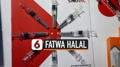 Majelis Ulama Indonesia memutuskan vaksin Covid-19 Sinovac halal. Pengumuman dilakukan usai menggelar rapat pleno pada Jumat siang.
