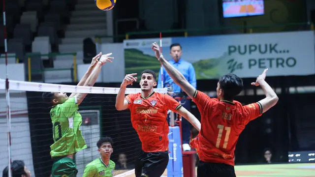 Proliga 2026