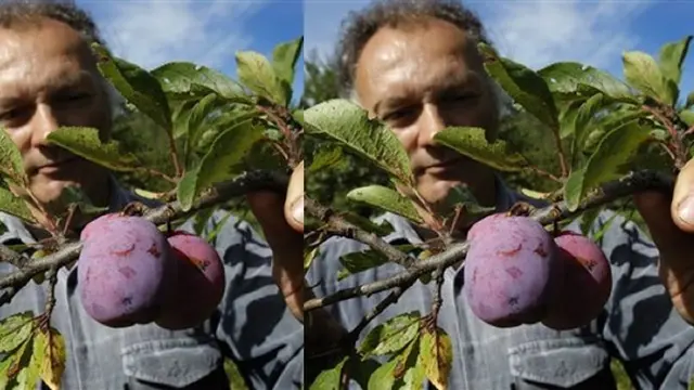 Foto: Copyright ListVerse.com