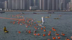 Perenang berkompetisi dalam lomba renang lintas pelabuhan di Hong Kong, Minggu (18/10). 2.500 orang ambil bagian dalam menembus jarak lintasan laut sejauh 1,5 km dari Sam Ka Tsuen Public Pier ke Quarry Bay Park Public Pier. (REUTERS/Tyrone Siu)