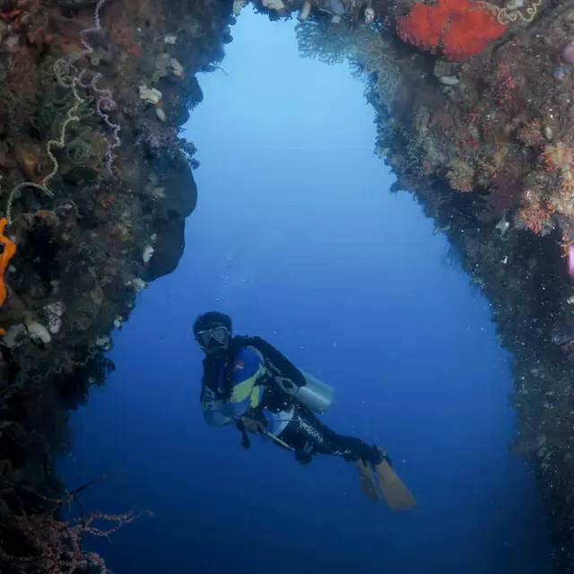 Saat Destinasi Diving Unggulan RI Unjuk Gigi di Malaysia