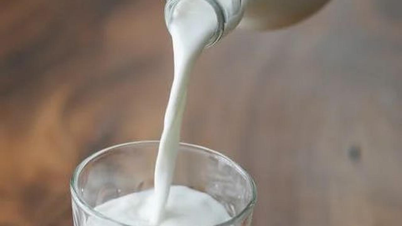 1. Makanan yang Berbahan Dasar Susu