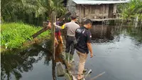 Tragis, Buaya Seret Bocah di Hadapan Ibunya