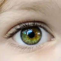 Ilustrasi Mata Credit: pexels.com/Skitterphoto