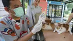 Seorang dokter hewan bersiap menyuntikkan vaksin rabies pada seekor kucing milik warga di Ruang Publik Terpadu Ramah Anak (RPTRA) Manggarai, Jakarta, Senin (14/10/2025). (merdeka.com/Arie Basuki)