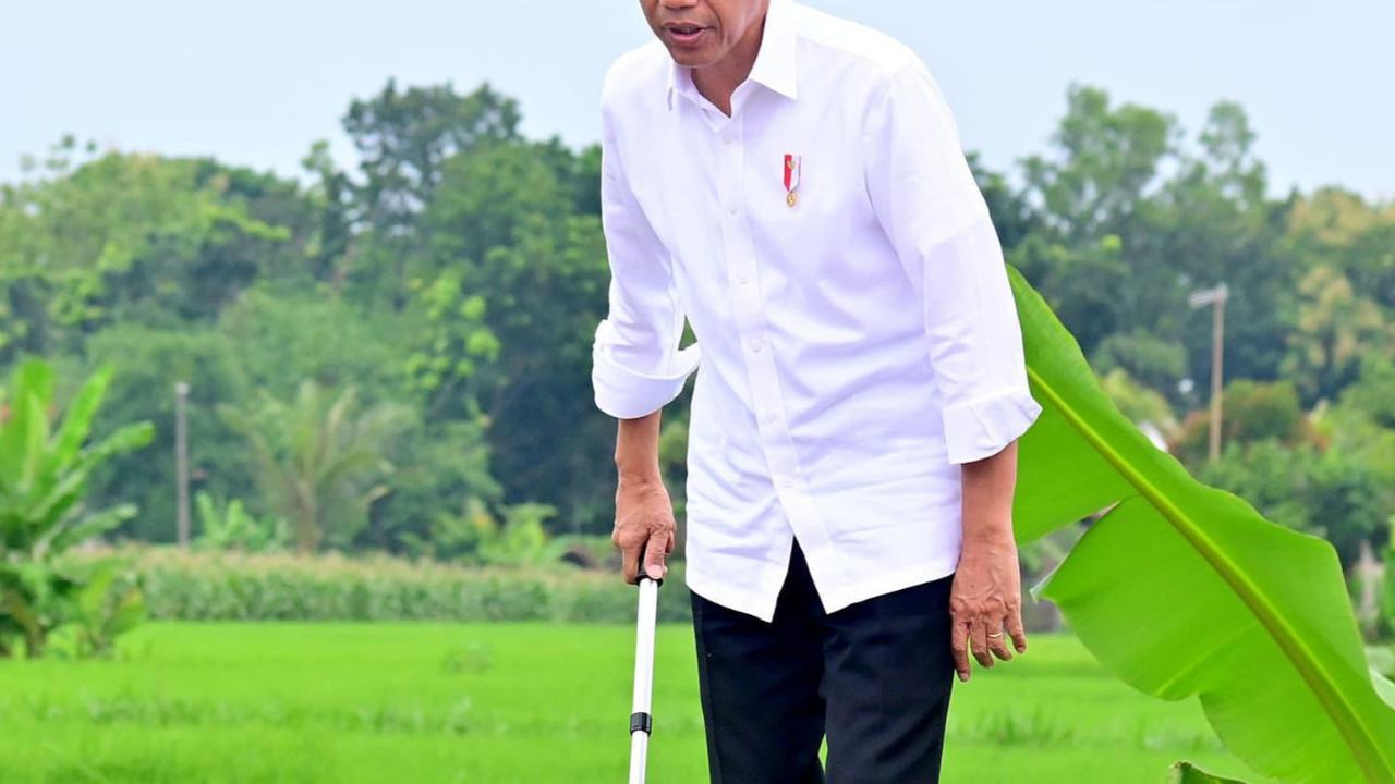 Jokowi: 280 Juta Penduduk Harus Makan Semuanya