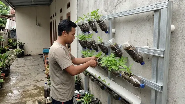 Trik Pasang Rangka Spasi 5 Cm pada Kebun Botol Vertikal