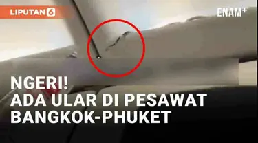 Momen mengerikan terjadi di dalam pesawat AirAsia rute Bangkok-Phuket (13/1/2024). Seekor ular kecil muncul di langit-langit kabin pesawat hingga membuat para penumpang cemas. Kecemasan tersebut segera diredakan oleh sejumlah kru.