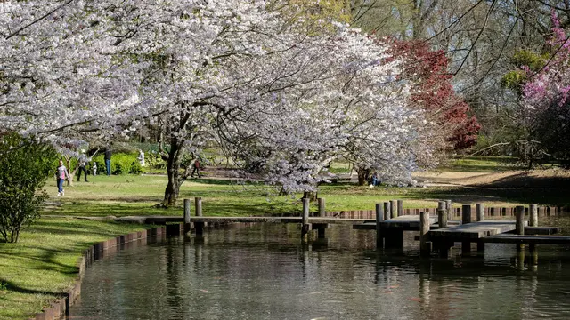 Memphis Botanic Garden