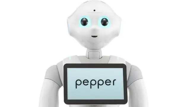Bagi sebagian orang yang pernah bersentuhan dengan Pepper, robot ini tak hanya dianggap sebagai robot biasa. 