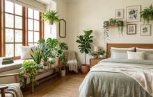 7 Ide Dekorasi Kamar Tidur dengan Tanaman Indor Agar Terasa Lebih Adem