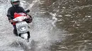  Seorang pengendara motor nekat menerobos banjir di Jl.Pemuda, Taman Ria Senayan, Jakarta, Jumat (30/5/2014) (Liputan6.com/Faizal Fanani)