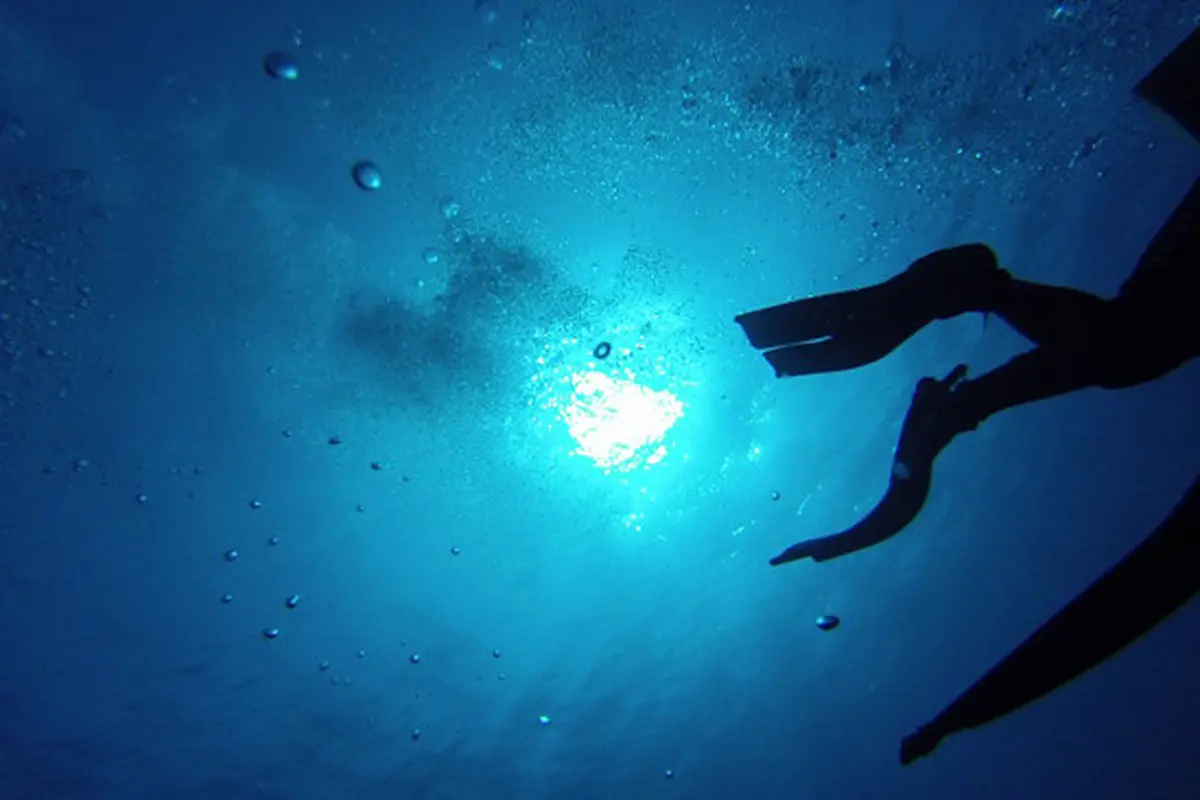 Selain Monster Raksasa, Ini 5 Misteri Laut Dalam yang Tersembunyi